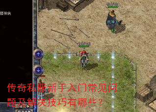 ����˽���������ų������⼰�����������Щ��