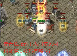 ����˽���������ų������⼰�����������Щ��