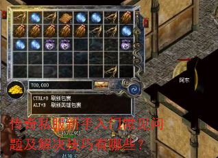 ����˽���������ų������⼰�����������Щ��