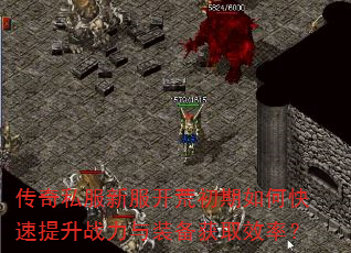 ����˽���·����ĳ�����ο�������ս����װ����ȡЧ�ʣ�