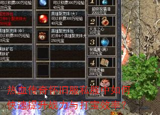 ��Ѫ���滳�ɷ�˽������ο�������ս�����Ч�ʣ�