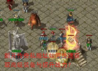 �¿�����˽��ַ��ο��ٻ�ȡ�߼�װ��������ս����