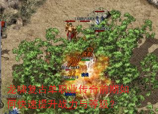 ��Х���ŵ�ְҵ����ǰ����ο�������ս����ȼ���