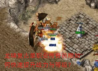 ��Х���ŵ�ְҵ����ǰ����ο�������ս����ȼ���