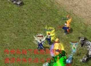 ����˽�����غ���ο���������ɫս������