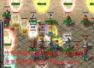 ����˽��sf������������ο������ռ��ܴ����븱����ս��