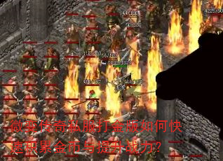 ΢�䴫��˽��������ο��ٻ��۽��������ս����