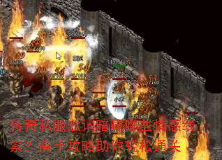 ����˽����ʰ�����Щ������������ֹ�����������ͨ��