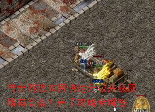 ������Ϸ��ο�����������ȡϡ��װ�������ֹ���ȫ���