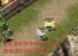 ���µ�ְҵ����˽������ο��ٻ�ȡϡ��װ����