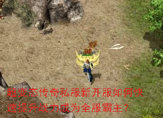 ����̬����˽���¿�����ο�������ս����Ϊȫ��������