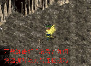 ����������ֱؿ�����ο�������ս�������м���