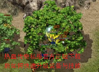 ��Ѫ����˽���ٷ��������غ���ο�������װ���뼼��