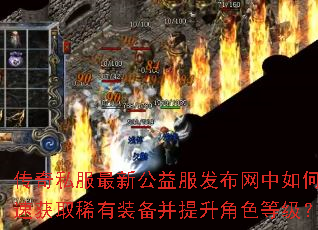 ����˽�����¹��������������ο��ٻ�ȡϡ��װ����������ɫ�ȼ���