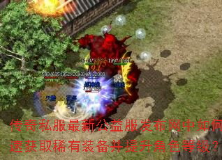 ����˽�����¹��������������ο��ٻ�ȡϡ��װ����������ɫ�ȼ���