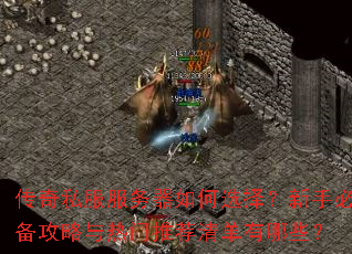 ����˽�����������ѡ�����ֱر������������Ƽ��嵥����Щ��