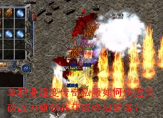 ��ְҵ���䴫��˽����ο���ͻ��ս��ƿ������ȡ�ռ�װ����