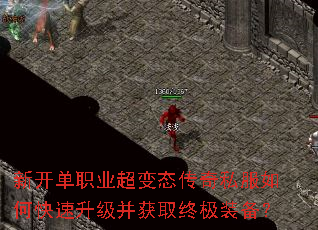 �¿���ְҵ����̬����˽����ο�����������ȡ�ռ�װ����