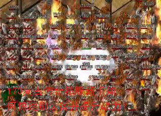 170���Ŵ���˽��������ο���ˢװ��������ս����