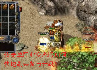 ���浥ְҵ��̬����ο���ˢװ����������