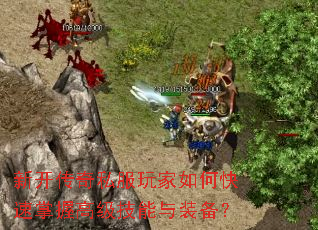 �¿�����˽�������ο������ո߼�������װ����