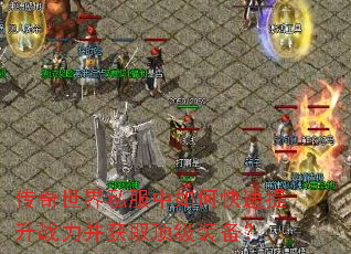 ��������˽������ο�������ս������ȡ����װ����