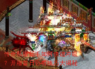 ����˽��������ο��ٳ弶���������ձؿ����ɴ����