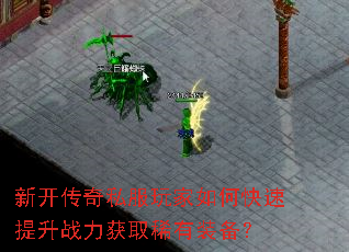 �¿�����˽�������ο�������ս����ȡϡ��װ����