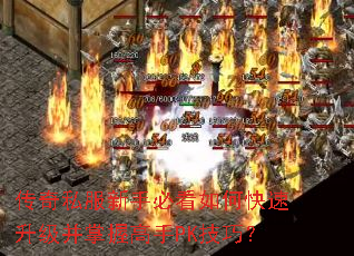 ����˽�����ֱؿ���ο������������ո���PK���ɣ�