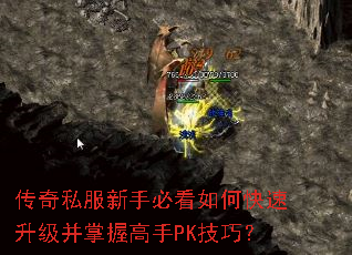 ����˽�����ֱؿ���ο������������ո���PK���ɣ�