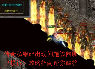 ����˽��sf���������������Ͷ�ߣ�����ָ�ϰ�����