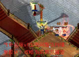 ����˽��sf���������������Ͷ�ߣ�����ָ�ϰ�����