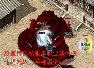 ��Ѫ����˽����ְҵ��ο�������ս�����ư�ȫ����