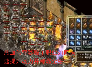 ��Ѫ����˽����ְҵ��ο�������ս�����ư�ȫ����