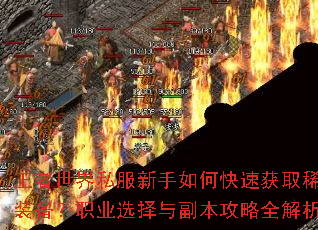 ��������˽��������ο��ٻ�ȡϡ��װ����ְҵѡ���븱������ȫ����