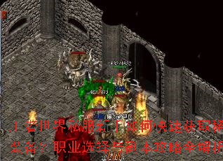 ��������˽��������ο��ٻ�ȡϡ��װ����ְҵѡ���븱������ȫ����