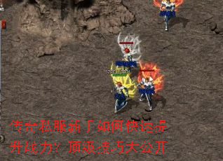 ����˽��������ο�������ս�����������ɴ󹫿�