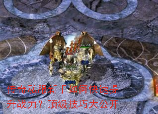 ����˽��������ο�������ս�����������ɴ󹫿�