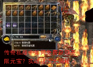 ����˽���������ѻ�ȡ����Ԫ����ʵս���ɴ����