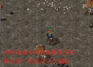 ����˽���������ѻ�ȡ����Ԫ����ʵս���ɴ����