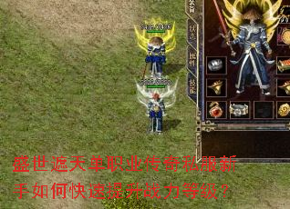 ʢ�����쵥ְҵ����˽��������ο�������ս���ȼ���