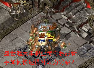 ʢ�����쵥ְҵ����˽��������ο�������ս���ȼ���