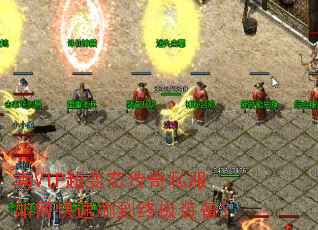 ��VIP����̬����˽����ο���ˢ���ռ�װ����