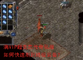 ��VIP����̬����˽����ο���ˢ���ռ�װ����