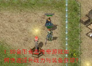 1.80��Һϻ�������Ϸ��ο�������ս����װ����ȡ��