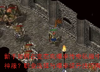 ��������ڱ�̬�߱��ʴ���˽���п���ˢ�������ְҵѡ���뱬��������������Щ��