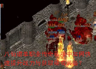 �����׵�ְҵ����˽������ο�������ս�����ȡϡ��װ����