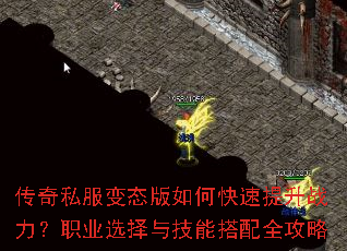 ����˽����̬����ο�������ս����ְҵѡ���뼼�ܴ���ȫ����