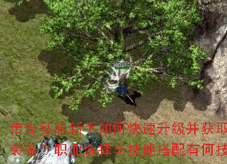 ����˽��������ο�����������ȡ����װ����ְҵѡ���뼼�ܴ����кμ��ɣ�