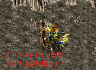 ���������176����˽���п���ˢ����������